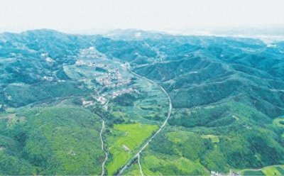 牟定县扎实推动绿色产业发展