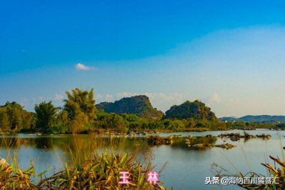 中国美食广西篇一一玉林狗肉